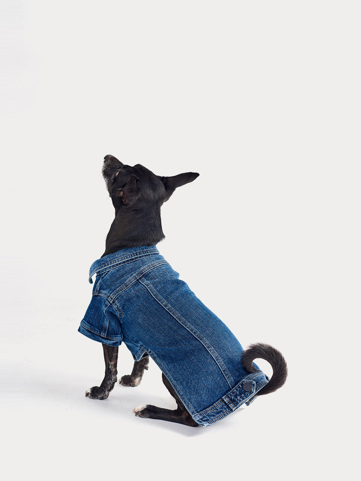 Fido Canine Trucker M/L | Puppy Breath