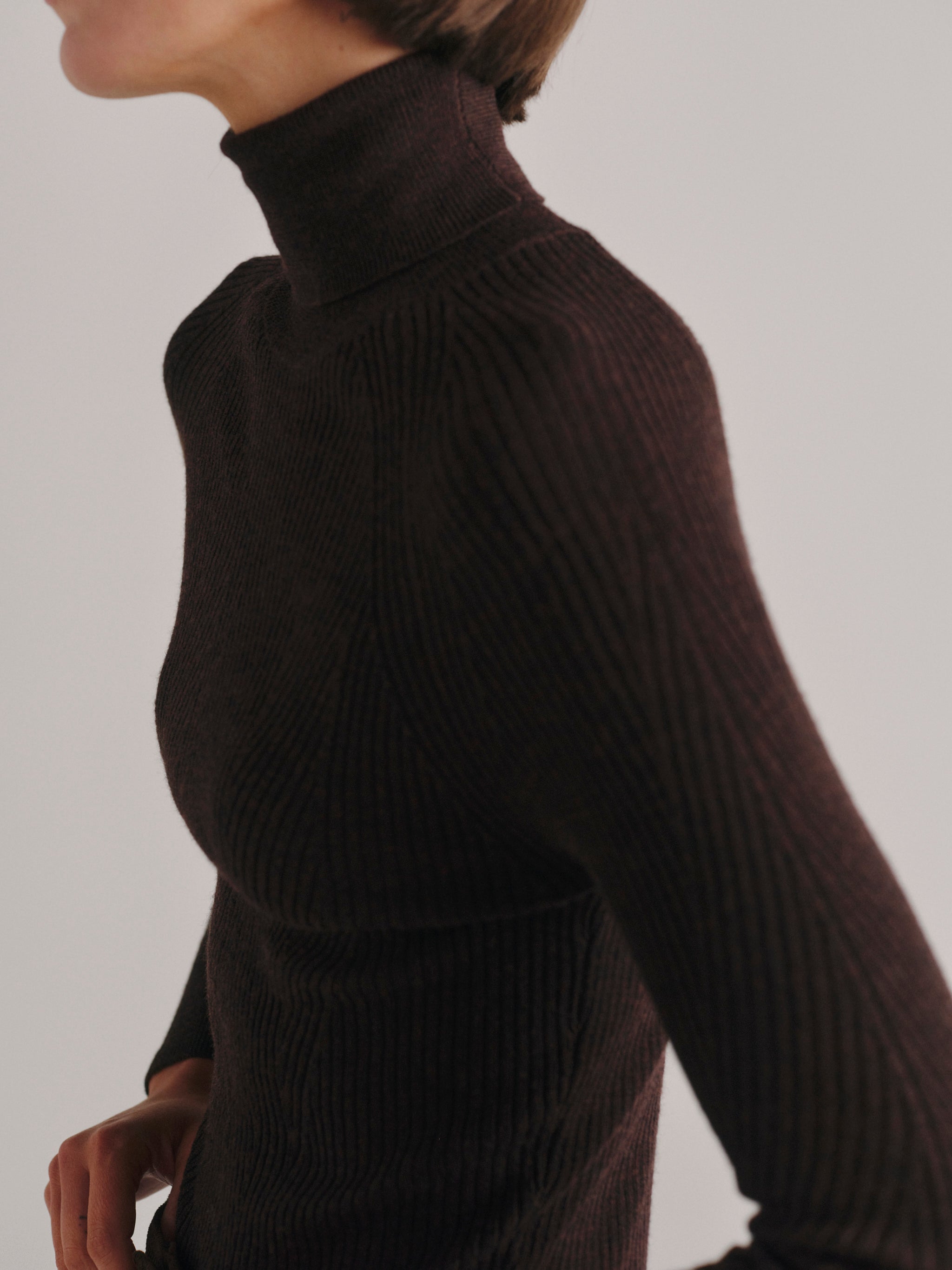 Raglan Sleeve Turtleneck Sweater | Brunette