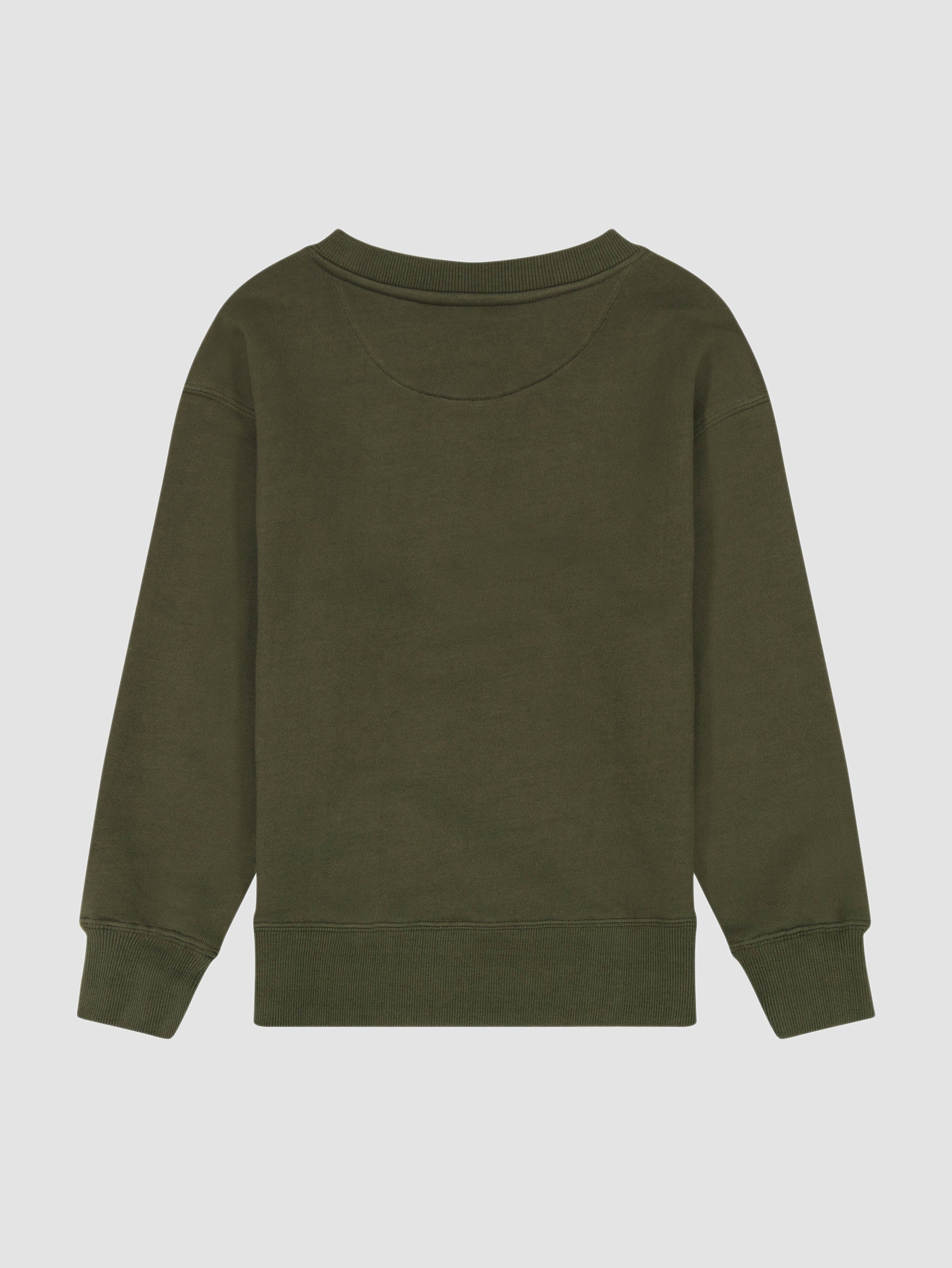 Gabe Sweatshirt | Olive Stripe